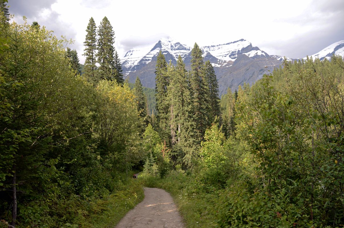 26 Mount Robson From Berg Lake Trail Near Parking Lot